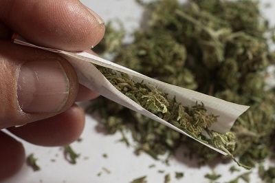 ¿Qué factores influyen en el inicio del consumo de cannabis?